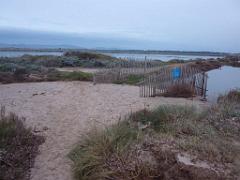 183 D18 PRESQU ILE DE GIENS 1_000036